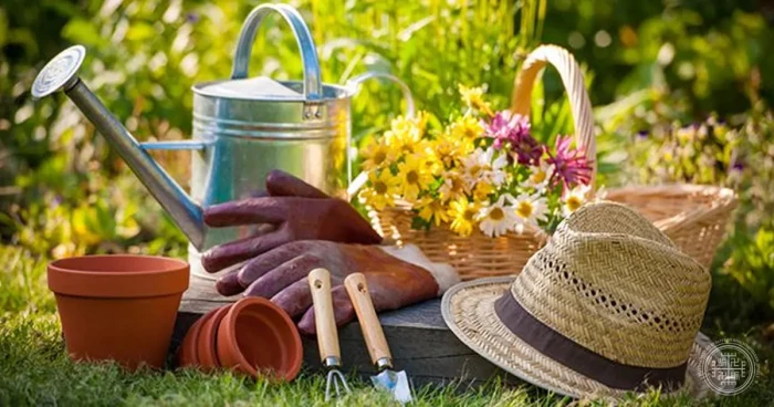 Садоводство и огородничество – как уберечь спину и суставы?