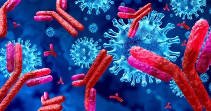 Ревматоидный фактор: всегда ли он свидетельствует о болезни?